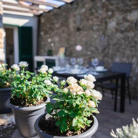 Gardenhouse Sarzana Διαμέρισμα Εξωτερικό φωτογραφία