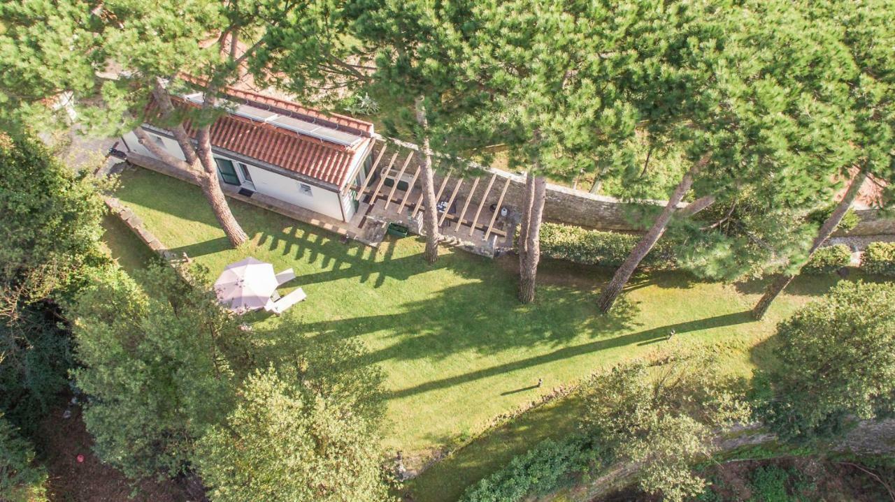 Gardenhouse Sarzana Διαμέρισμα Εξωτερικό φωτογραφία