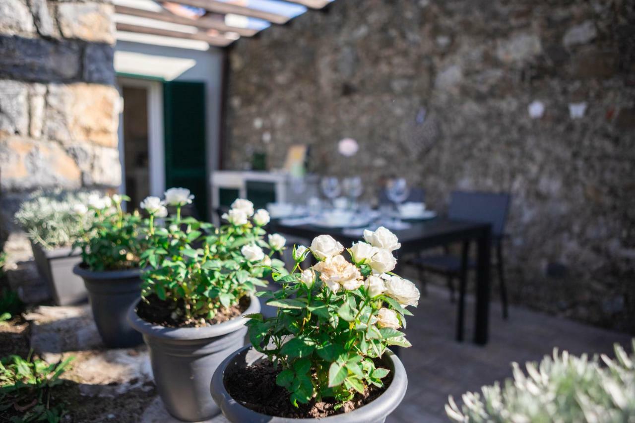 Gardenhouse Sarzana Διαμέρισμα Εξωτερικό φωτογραφία